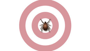 Lyme and Tick-Borne Illness – An Update