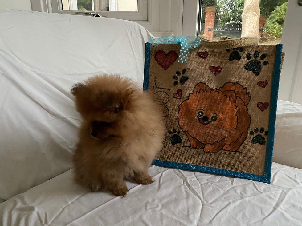 Thumbnail: personalised jute bags pet bags dog jute cat jute