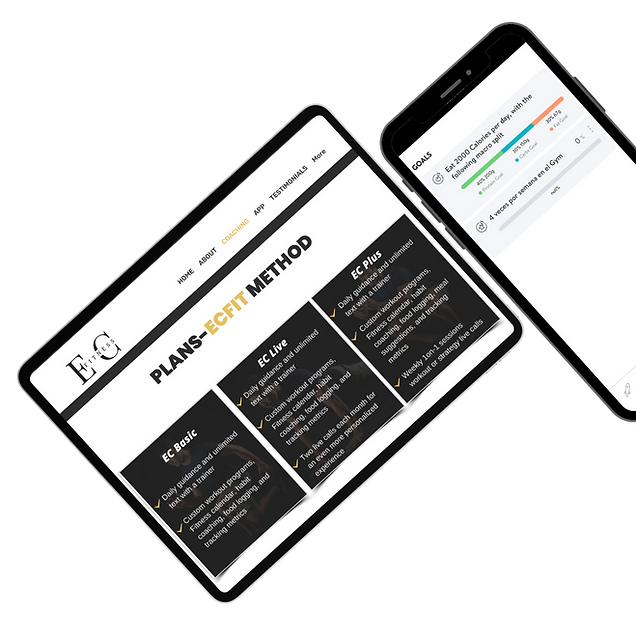 App look in phone and laptop 
