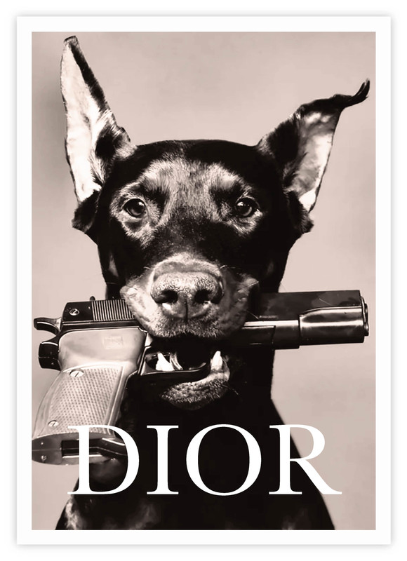 Dobermann by Dior