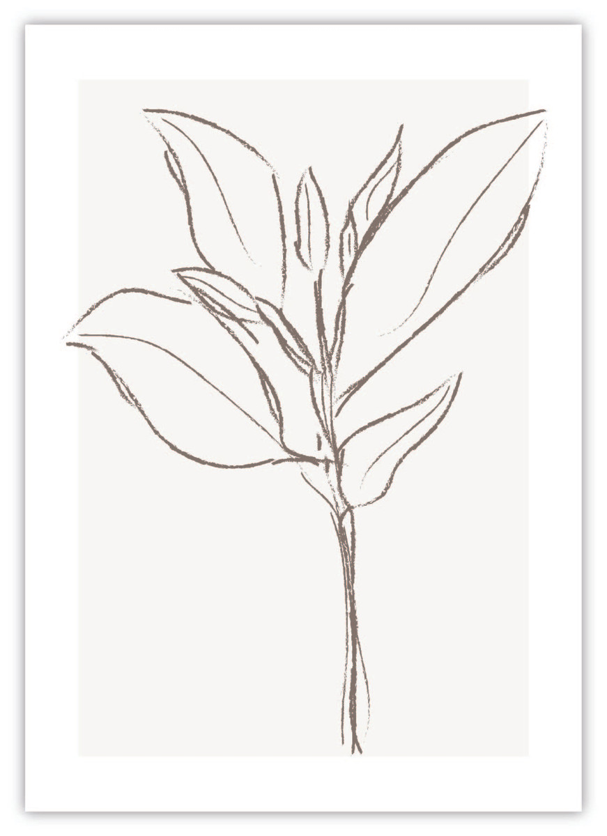 Flower Line Art I