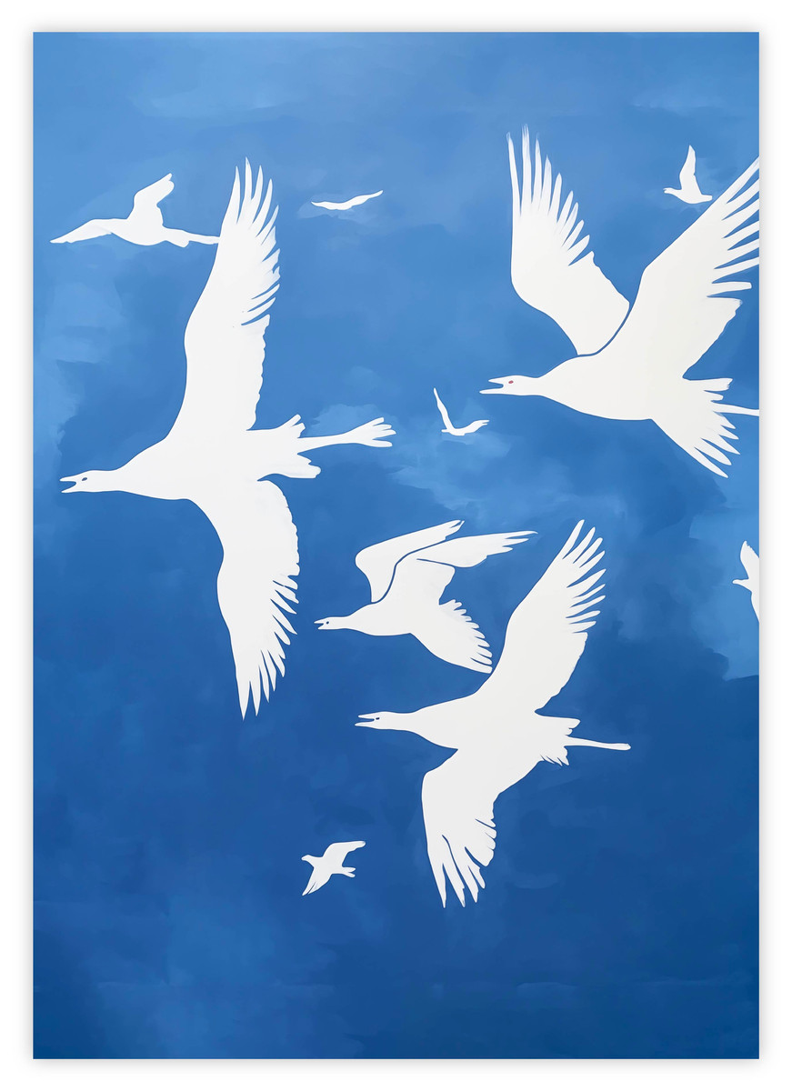 Seagulls