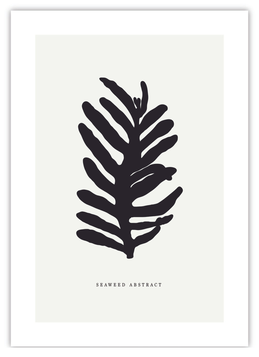 Seaweed Abstract