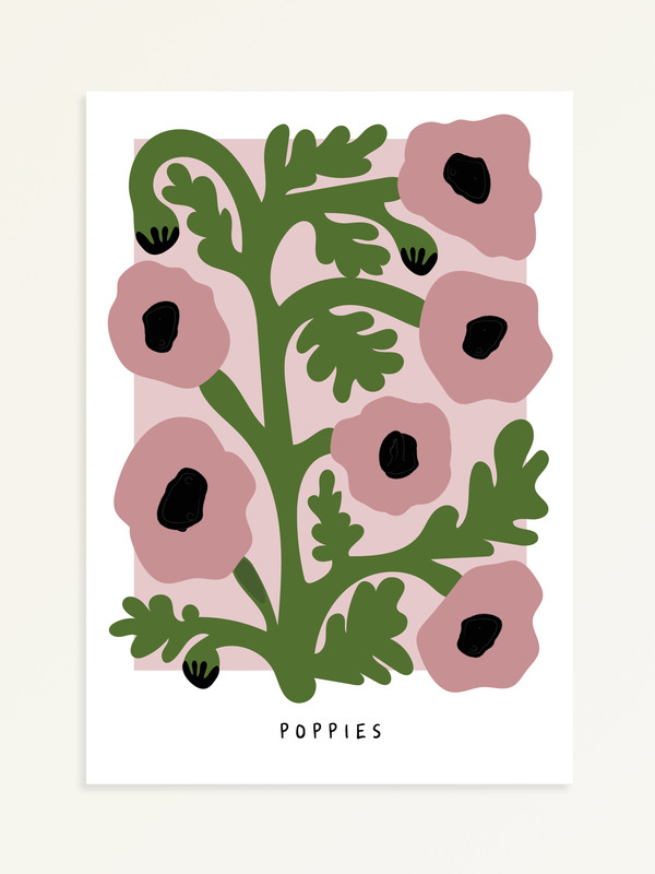 Pink Poppies