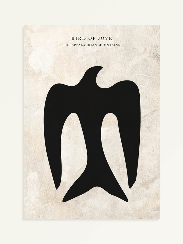 Bird of Jove
