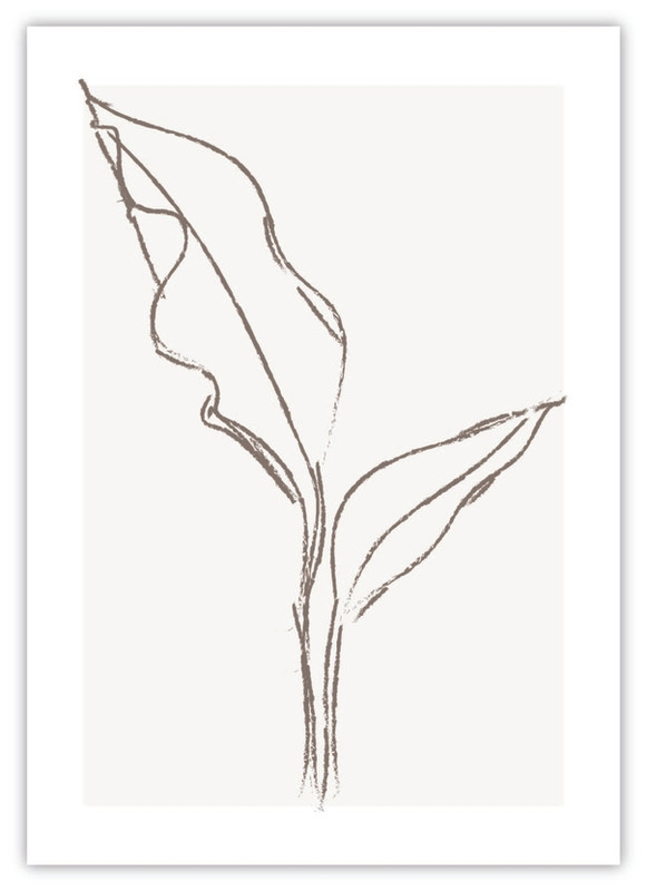 Flower Line Art II