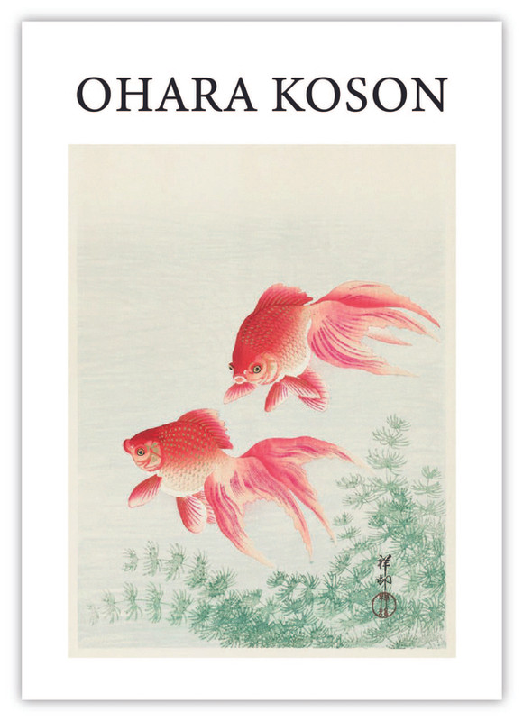 Two Goldfish