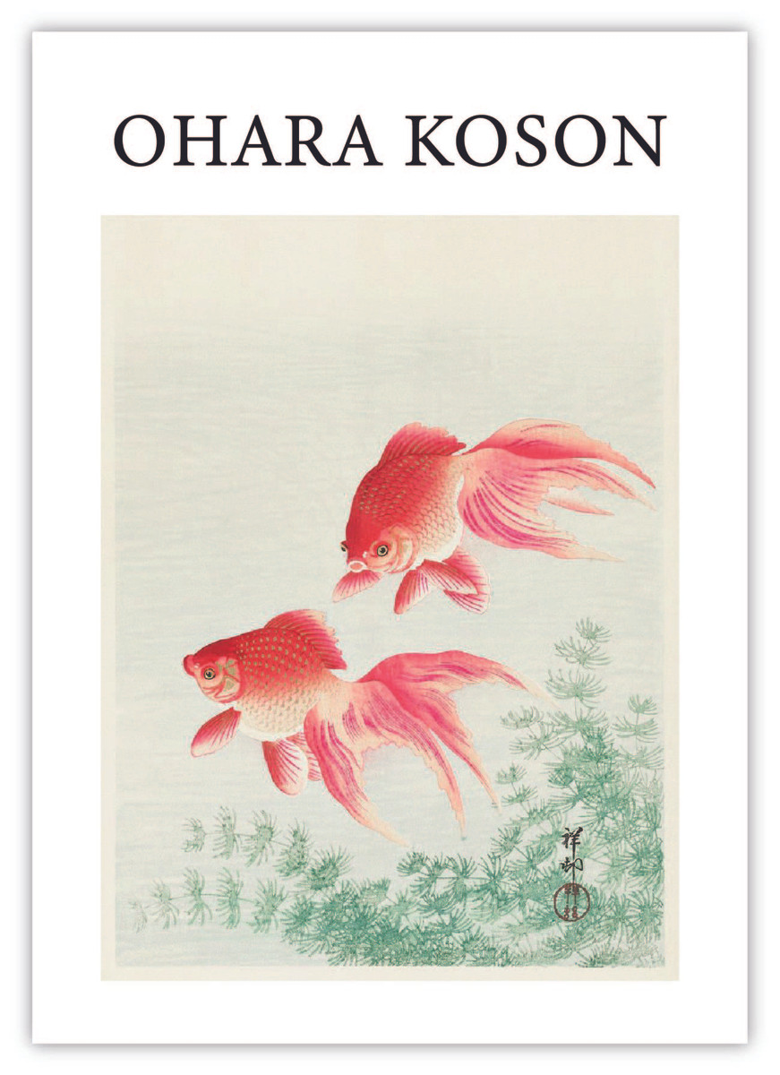 Two Goldfish