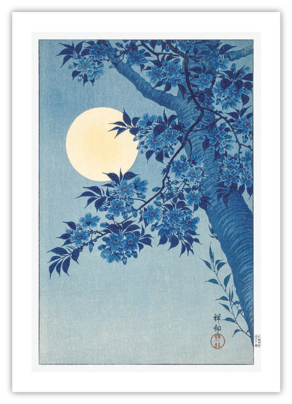 Moonlit Night