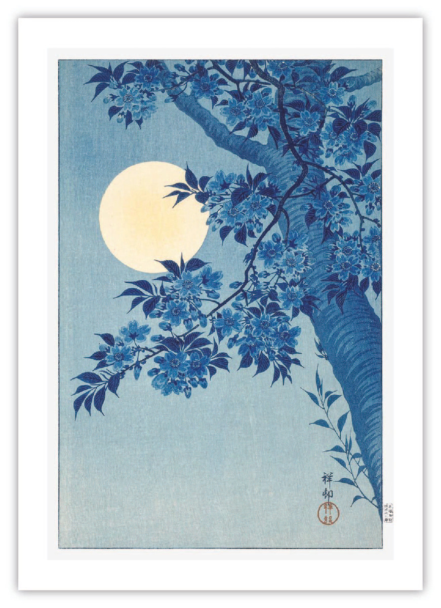 Moonlit Night