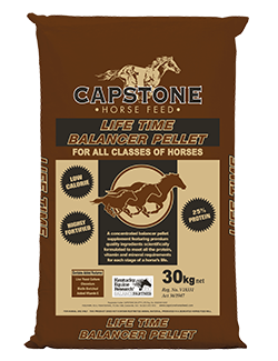 Capstone Lifetime Balancer 30kg