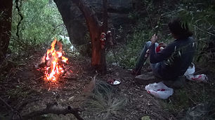 SURVIVAL EXPERIENCE