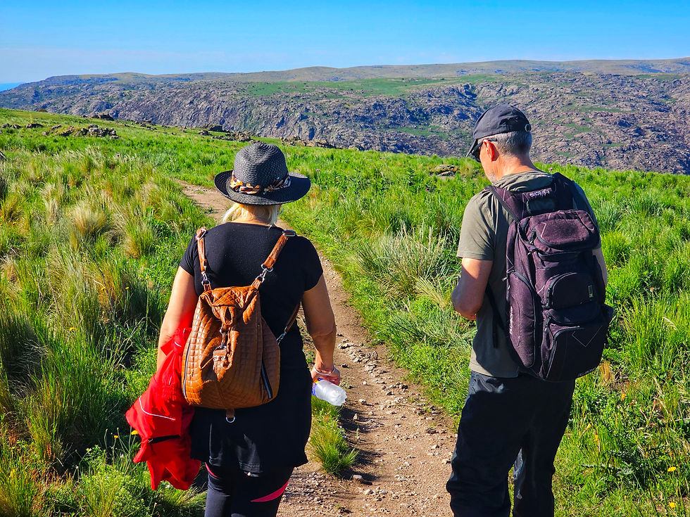 Reverdecer de pastizales de altura