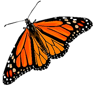 Family Pathways logo