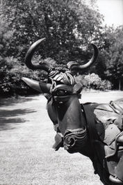 Wildebeest (detail)