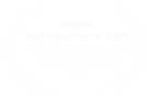 OFFICIAL WINNER - New York World Film Fe