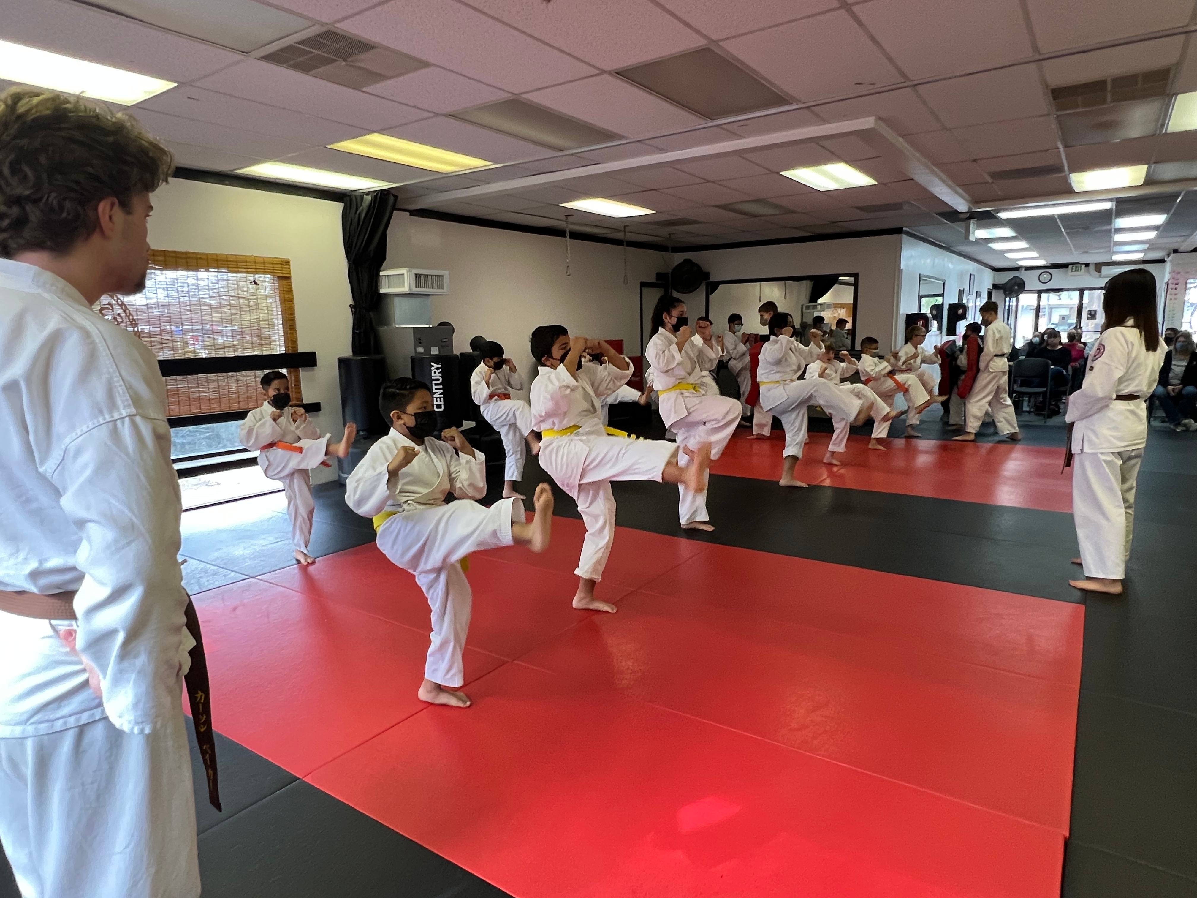 Mires Martial Arts facility image