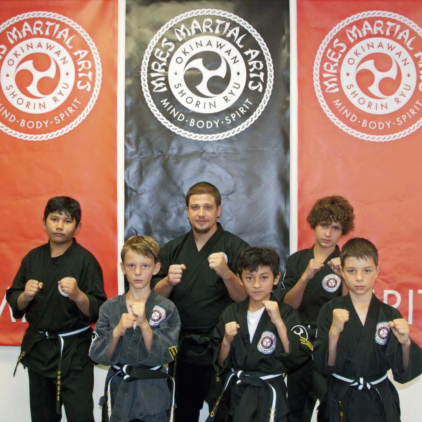 Mires Martial Arts facility image