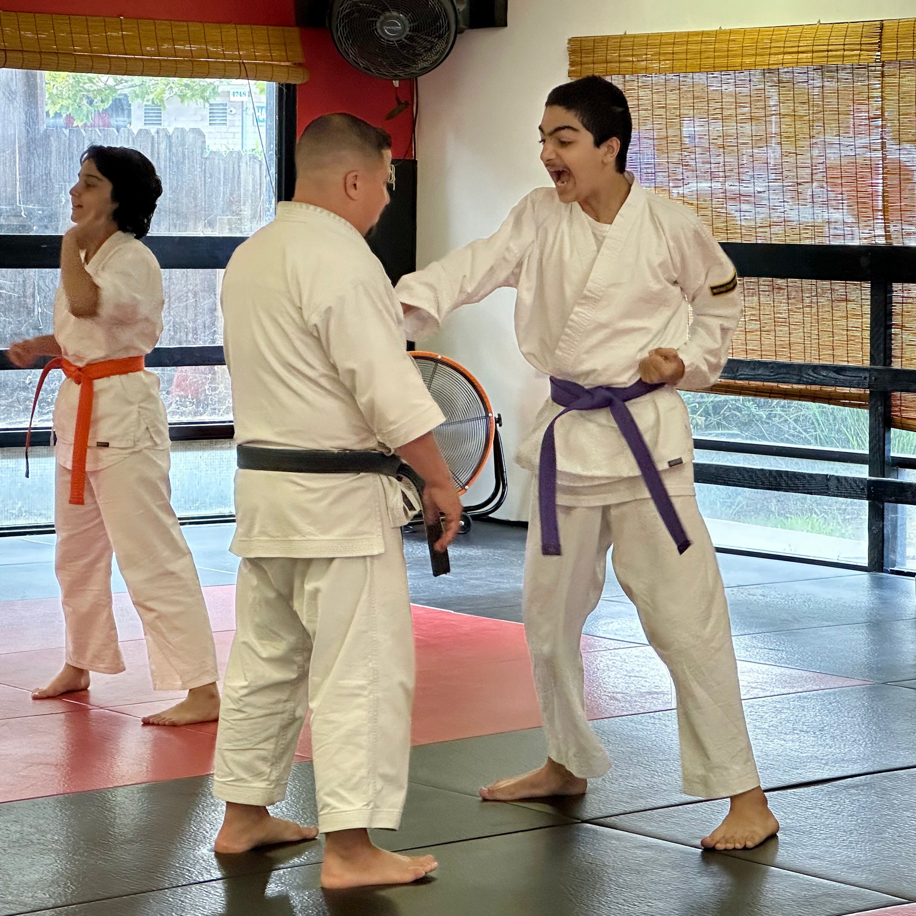 Mires Martial Arts facility image
