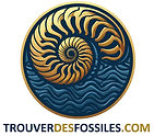 Logo trouverdesfossiles V2.jpg