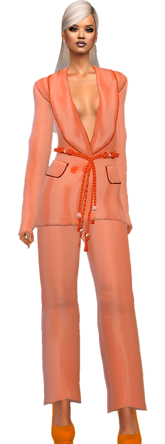 blazer pant suit orgn.png