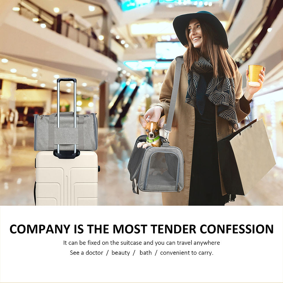 Thumbnail: Airline-Approved Soft-Sided Pet Carrier Backpack- Travel Bag for Small Dogs&Cats