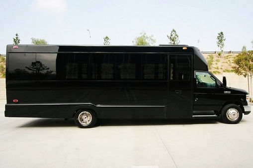 Party bus Red Deer 20 passenger limo bus