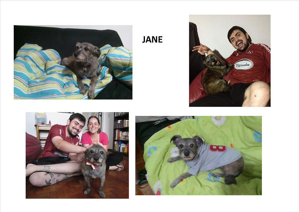 Jane.jpg