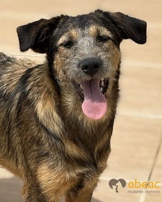 Agatha