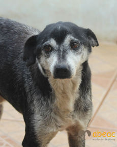 Faísca