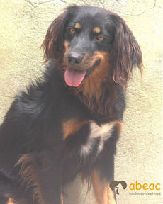 Jully