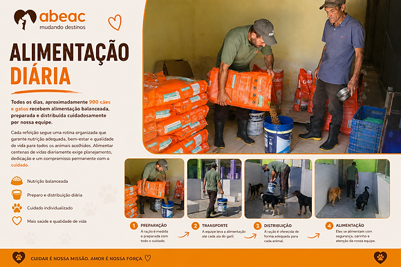 Alimentação diárias