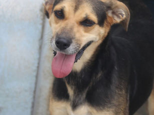 Capitu