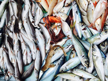 C'est vendredi, c'est poisson — on vous présente la Parrillada !