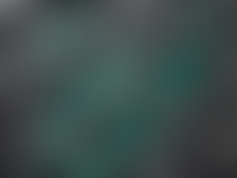 High Functional Carbon Felt: Sustainable Products for Industry Needs