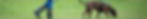 tracking_edited.jpg