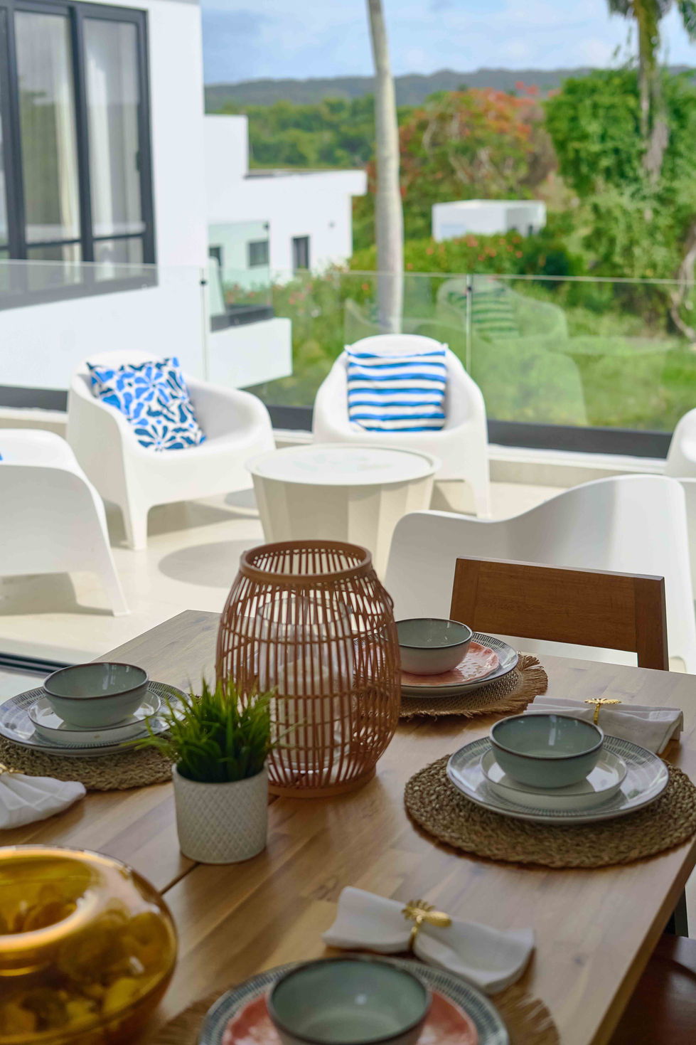 Elsa y Daniel Villa Palmera 024