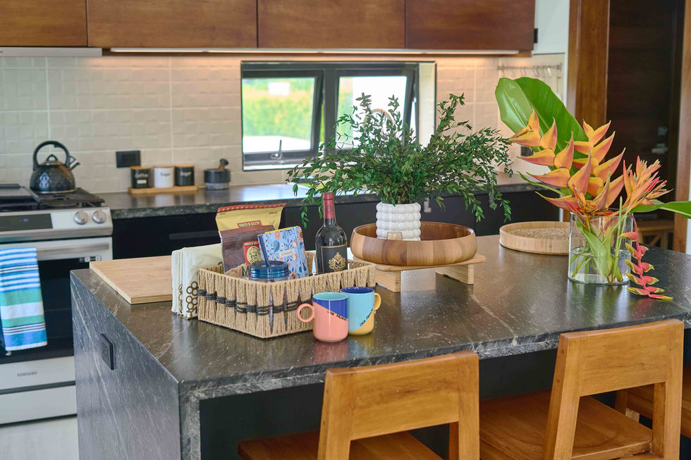 Elsa y Daniel Villa Palmera 025