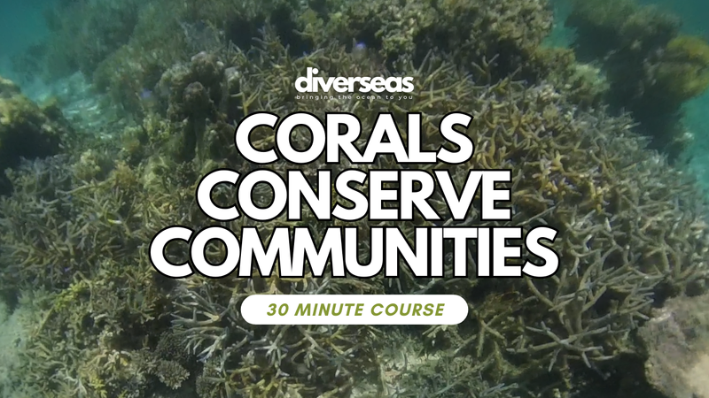 Corals Conserve Communities online course