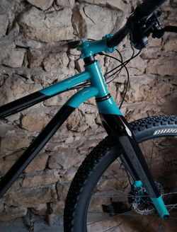 IMG_20200410_182848-01