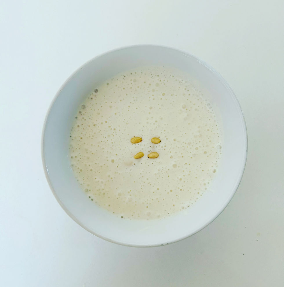 Protein rich Pine Nut Porridge