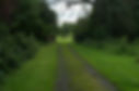 7873A7C0-C87F-4146-8050-0E1A16CAB383_edited.jpg