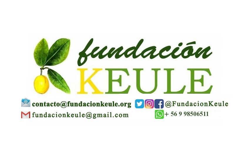 Fundación Keule