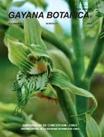 Bipinnula gabriel