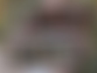 今頃ですがおせちプレート。