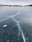 IMG_2764.jpeg