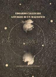 Edoardo Callegari, Alma Poesia, Copertina