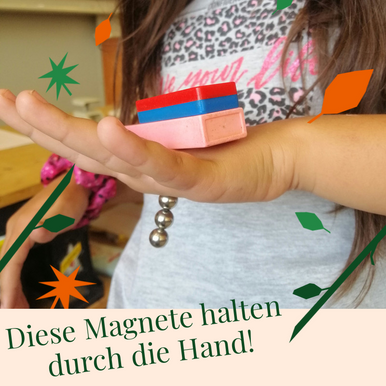 Magnete erforschen mit der 3. Klasse