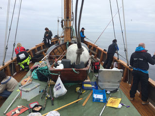 Havfiske med Stavanger Deep Sea Fishing Club 2015