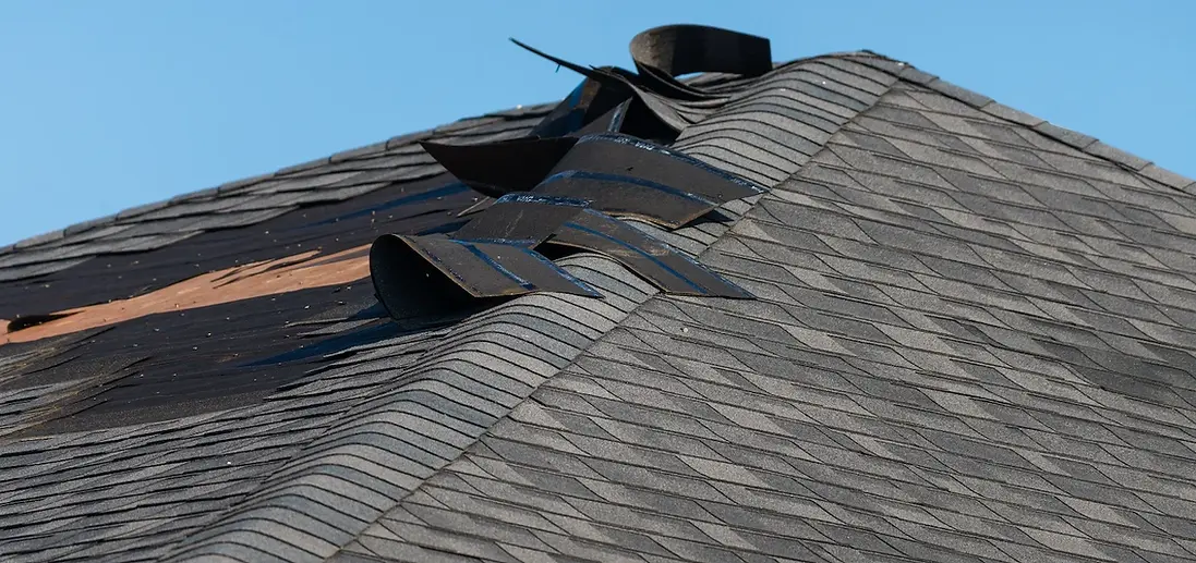 Sam Michael's Roofing & Construction of Willis Storm Damage Insurance Claims Near Me